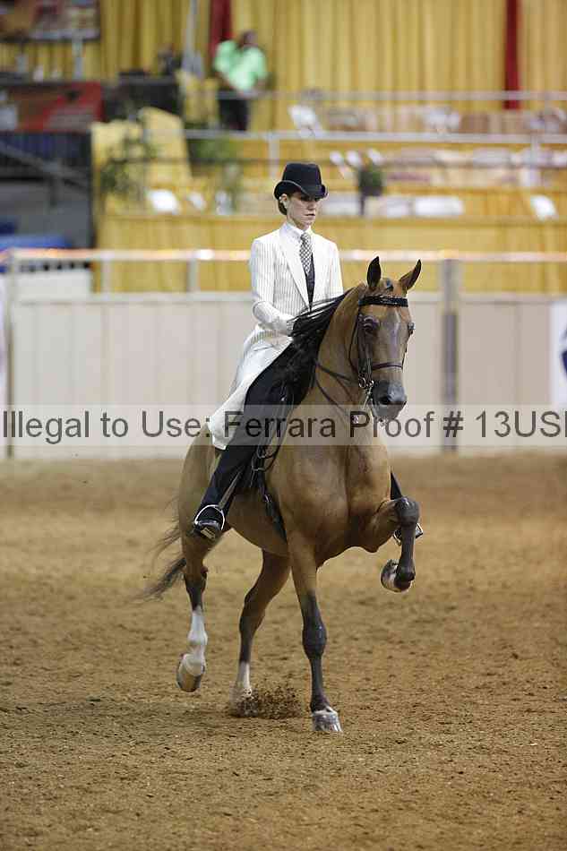 Proof 13usn_07709