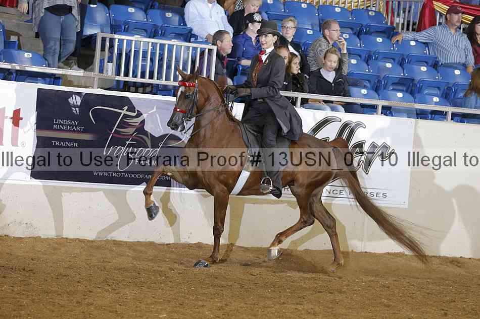 Proof 13usn_07710