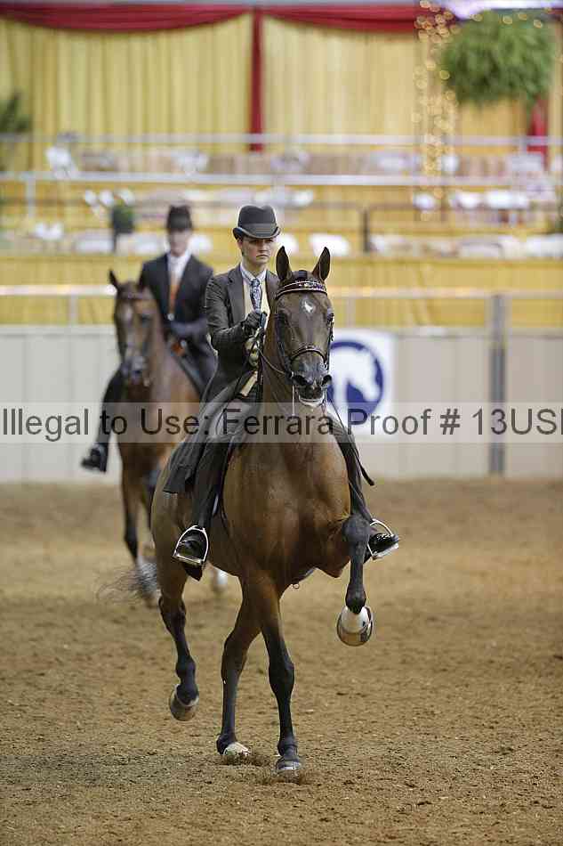 Proof 13usn_07714