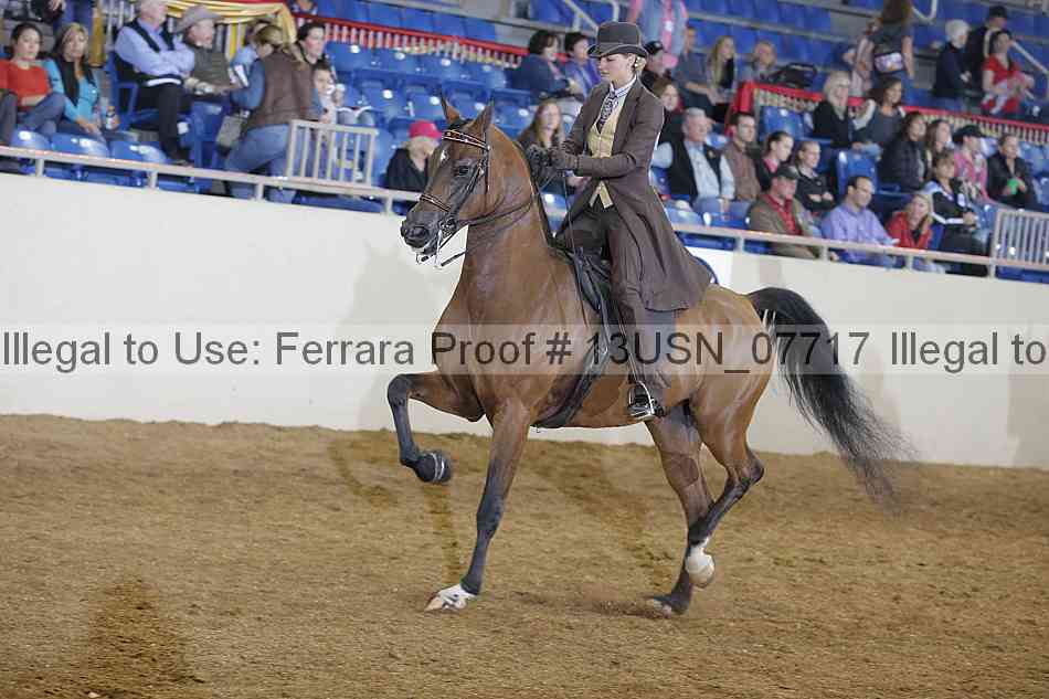 Proof 13usn_07717