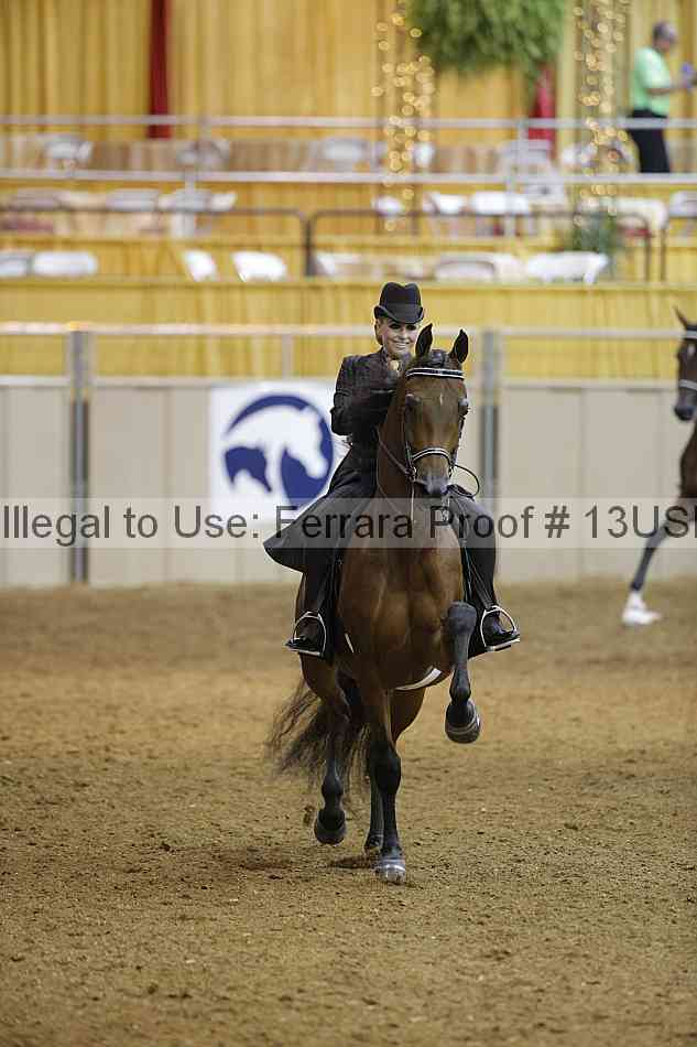 Proof 13usn_07719