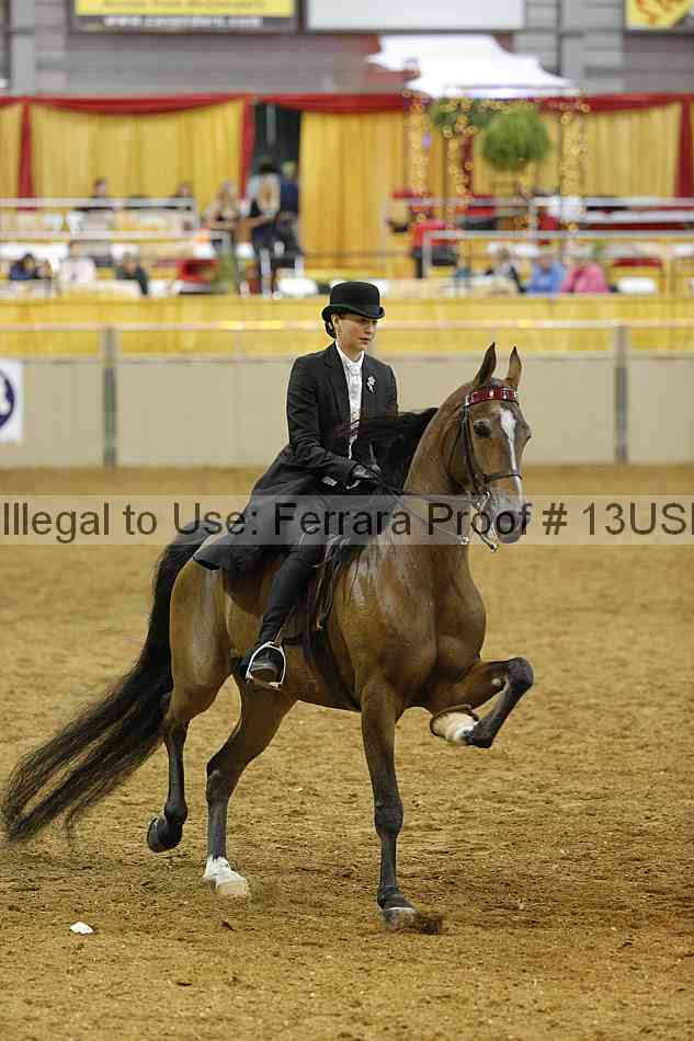 Proof 13usn_07726