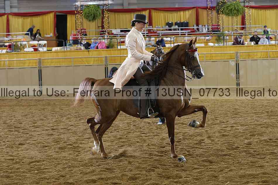 Proof 13usn_07733