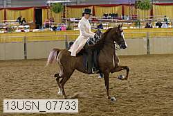 13usn_07733 proof