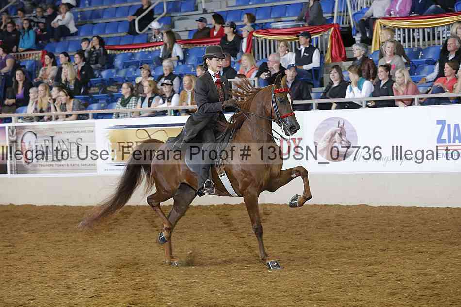 Proof 13usn_07736