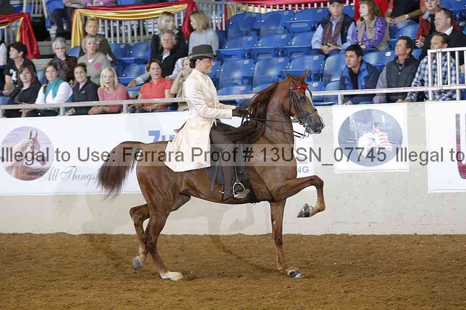 Proof 13usn_07745