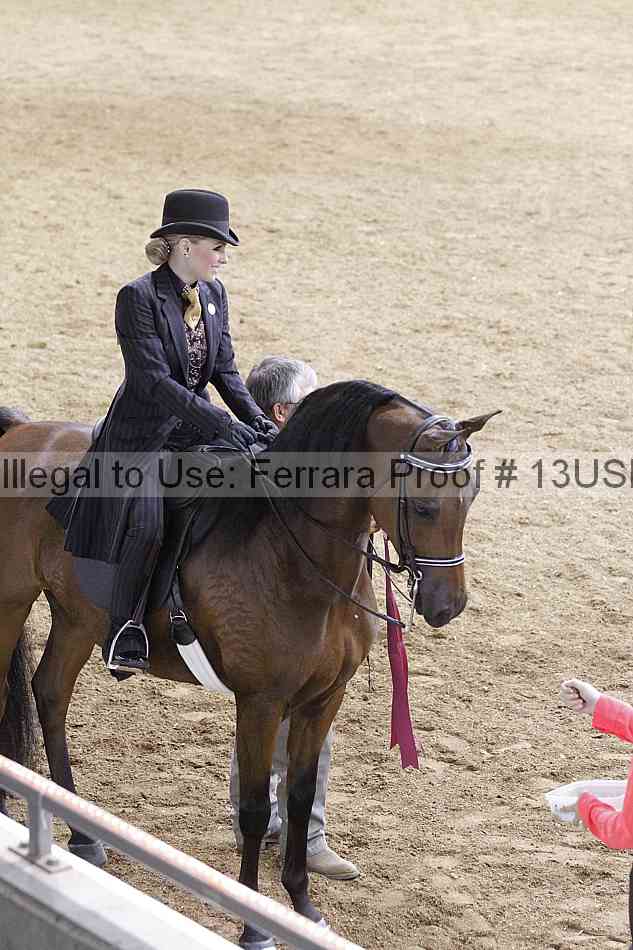Proof 13usn_07787