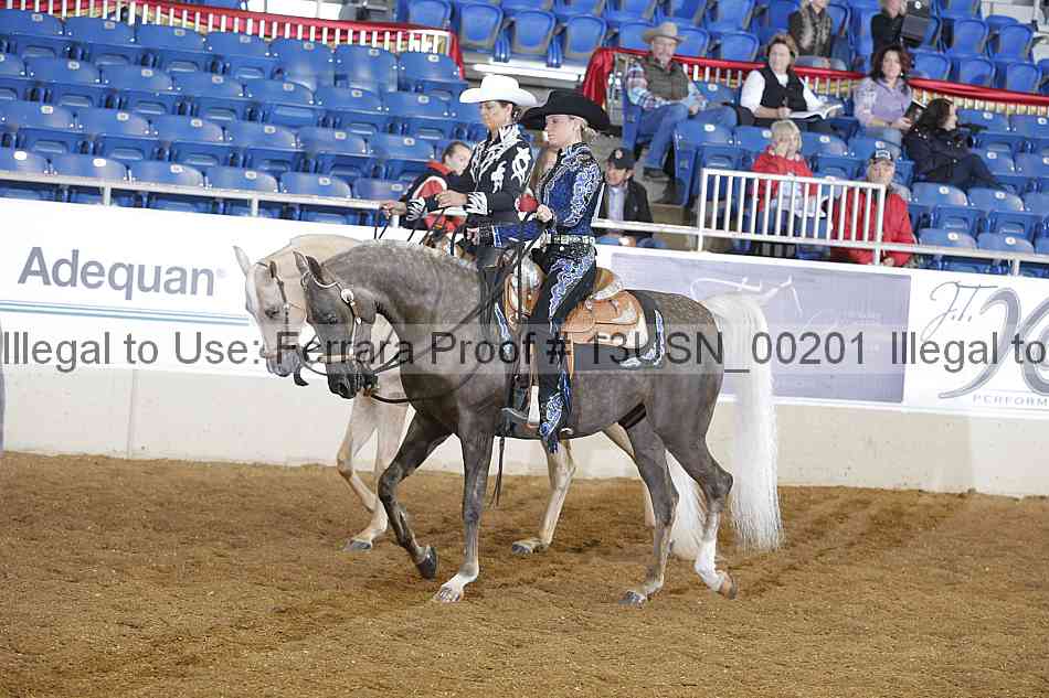 Proof 13usn_00201