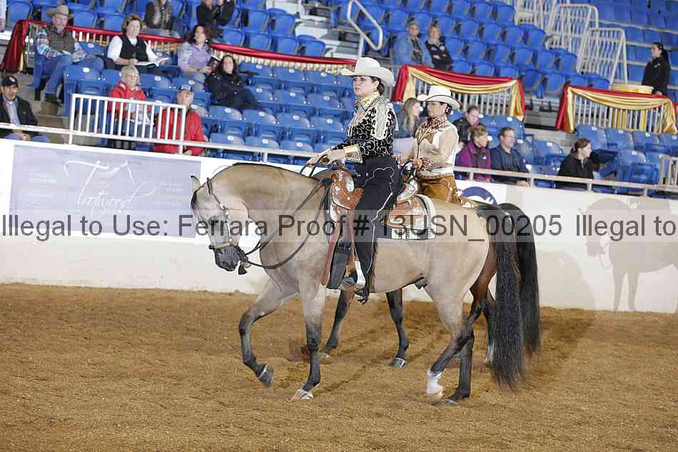 Proof 13usn_00205