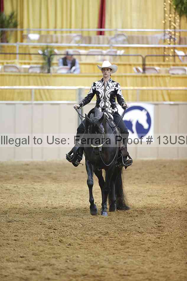 Proof 13usn_00208