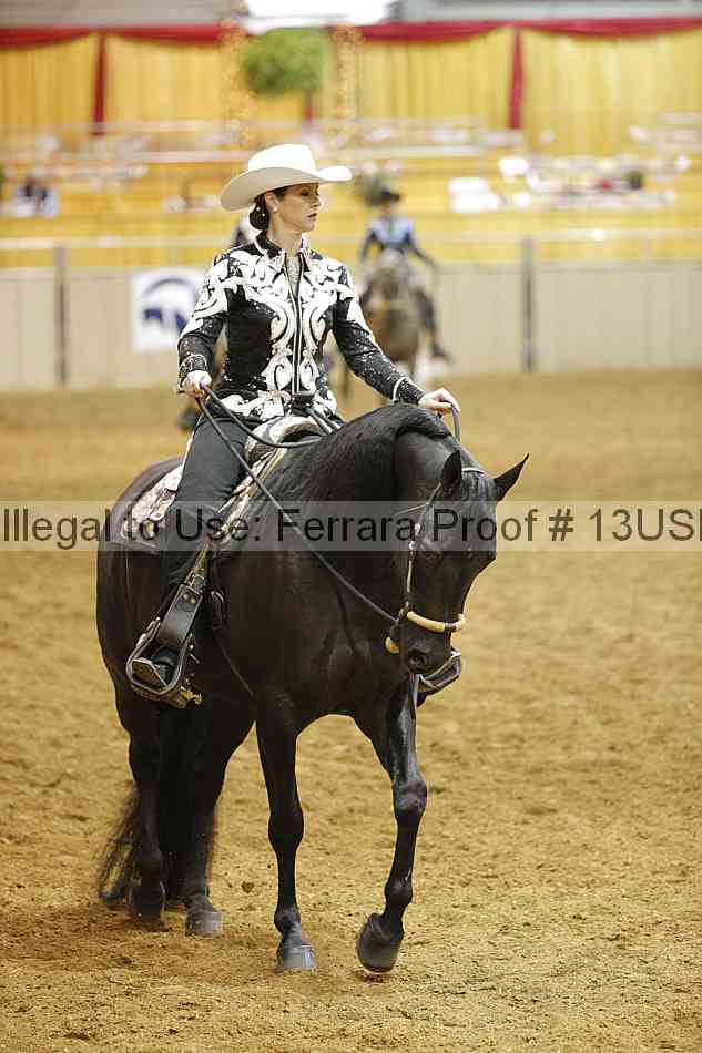 Proof 13usn_00215