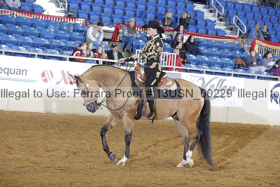 Proof 13usn_00229