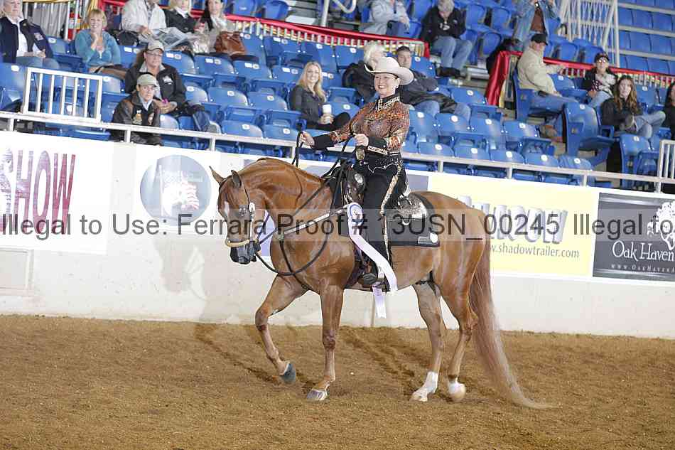 Proof 13usn_00245
