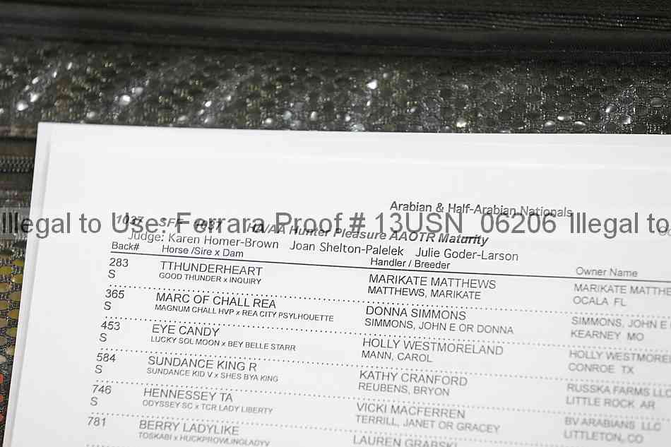 Proof 13usn_06206