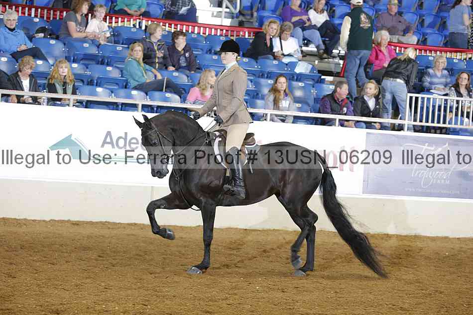 Proof 13usn_06209