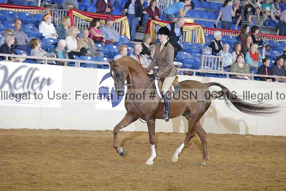 Proof 13usn_06213