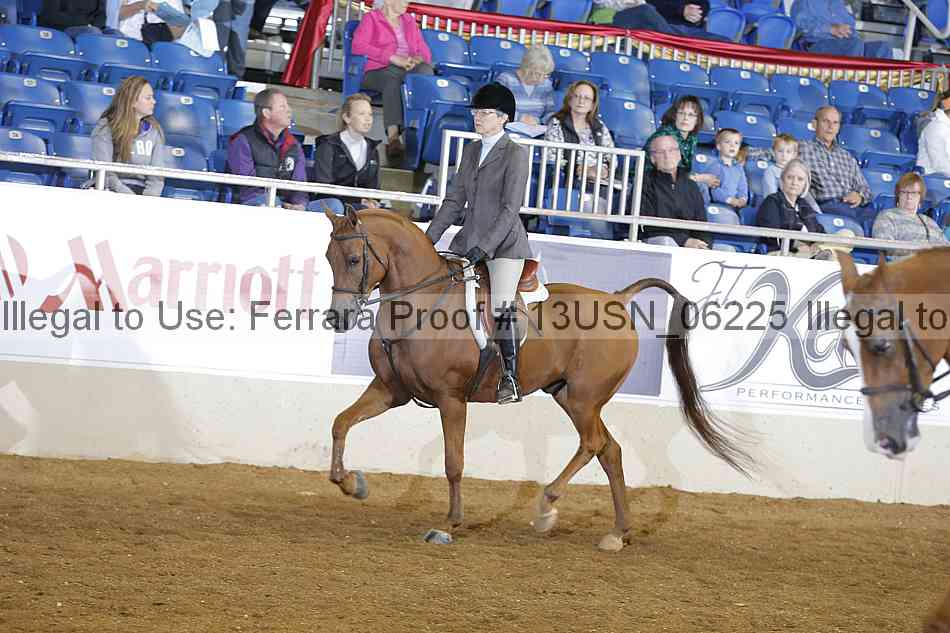 Proof 13usn_06225