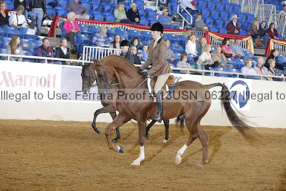 Proof 13usn_06227