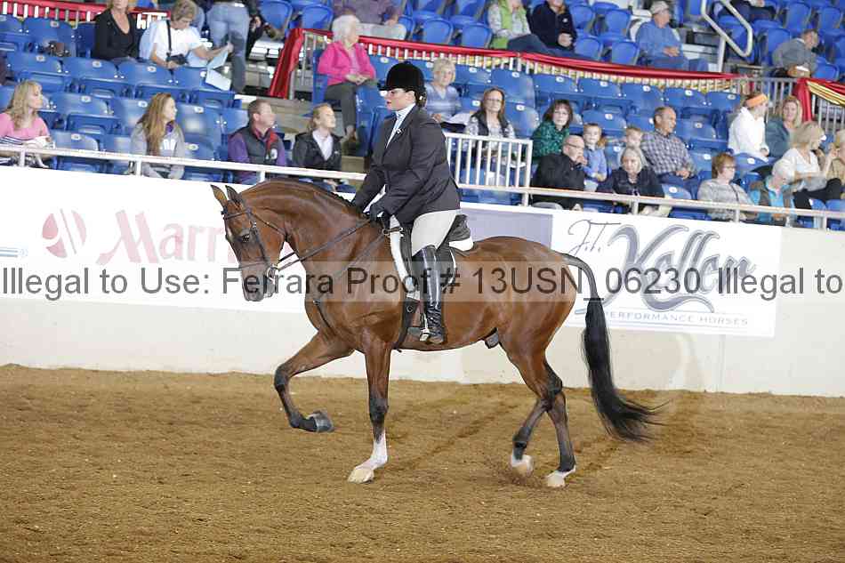 Proof 13usn_06230