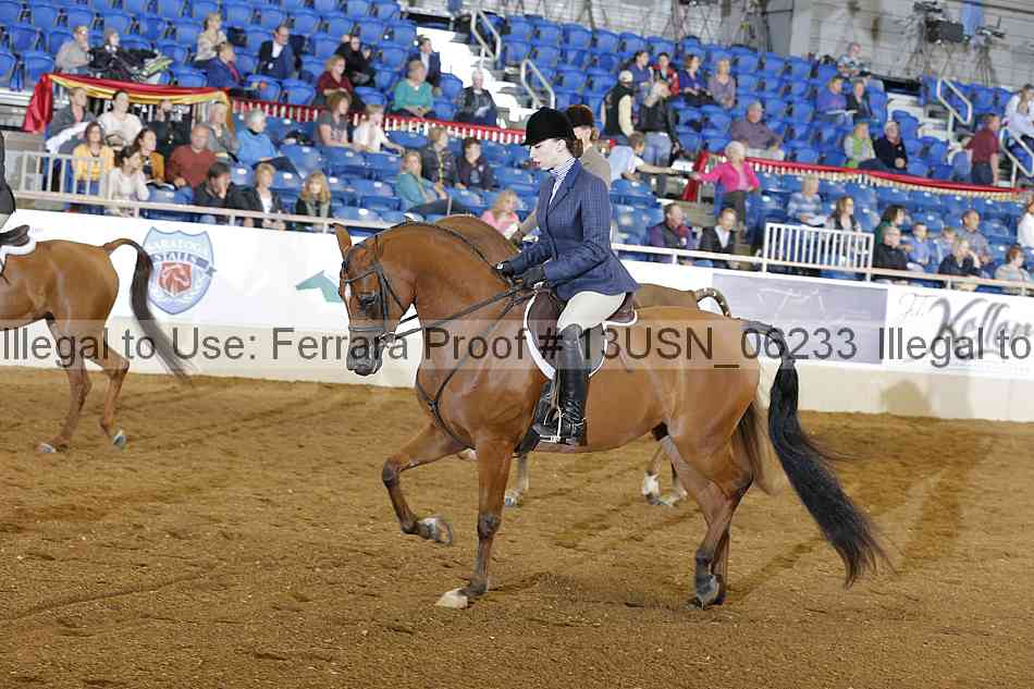 Proof 13usn_06233