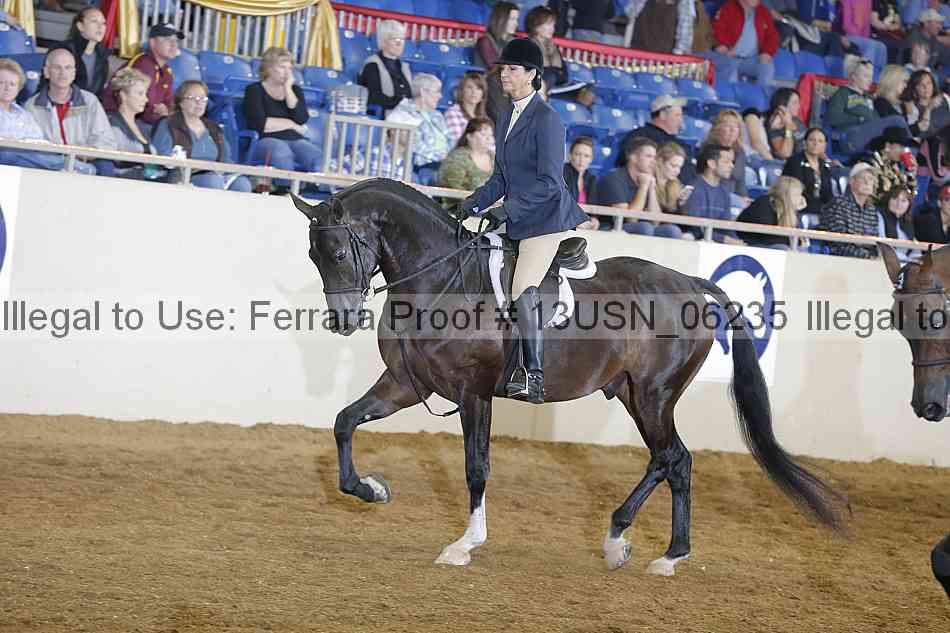 Proof 13usn_06235