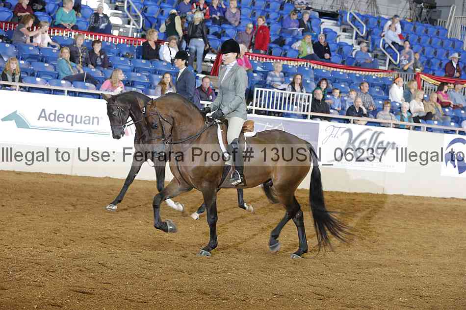 Proof 13usn_06237