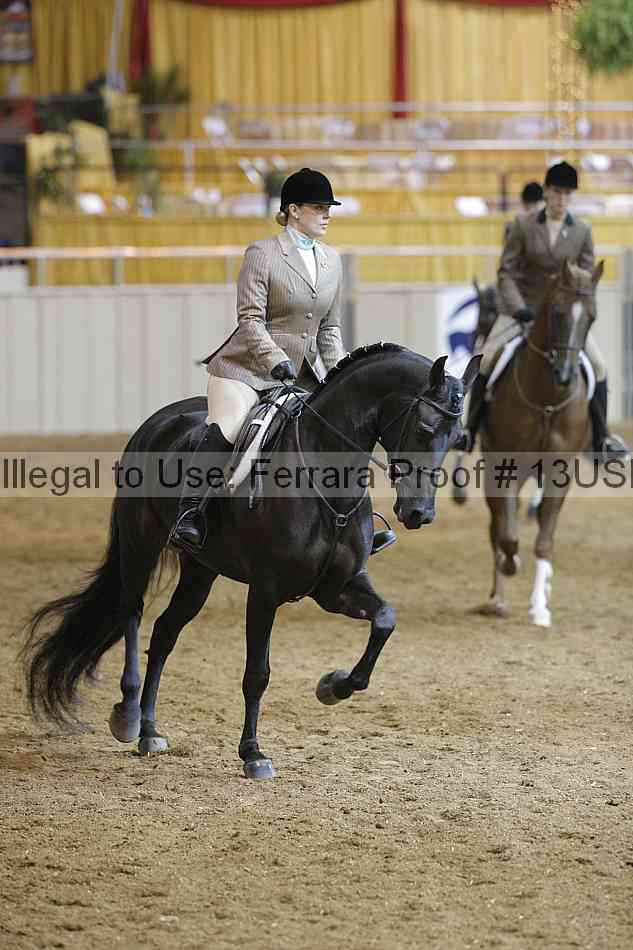 Proof 13usn_06238