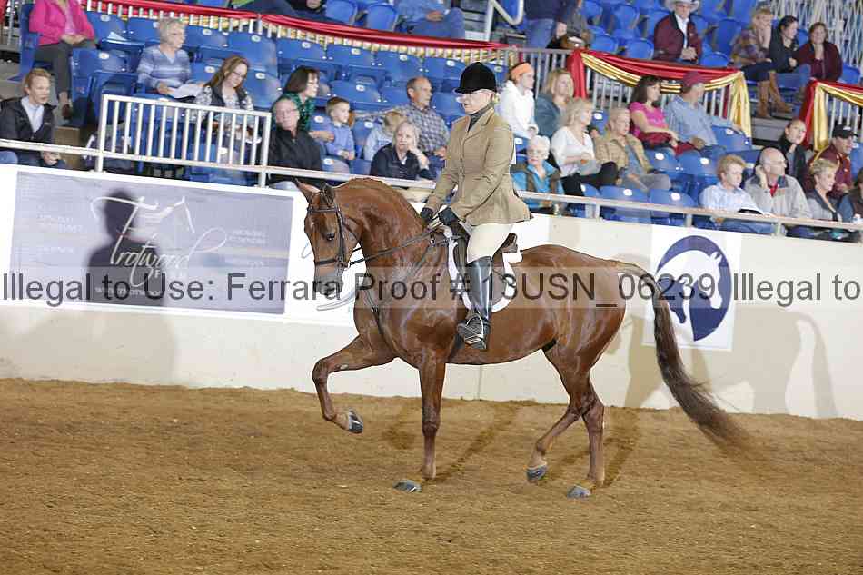 Proof 13usn_06239