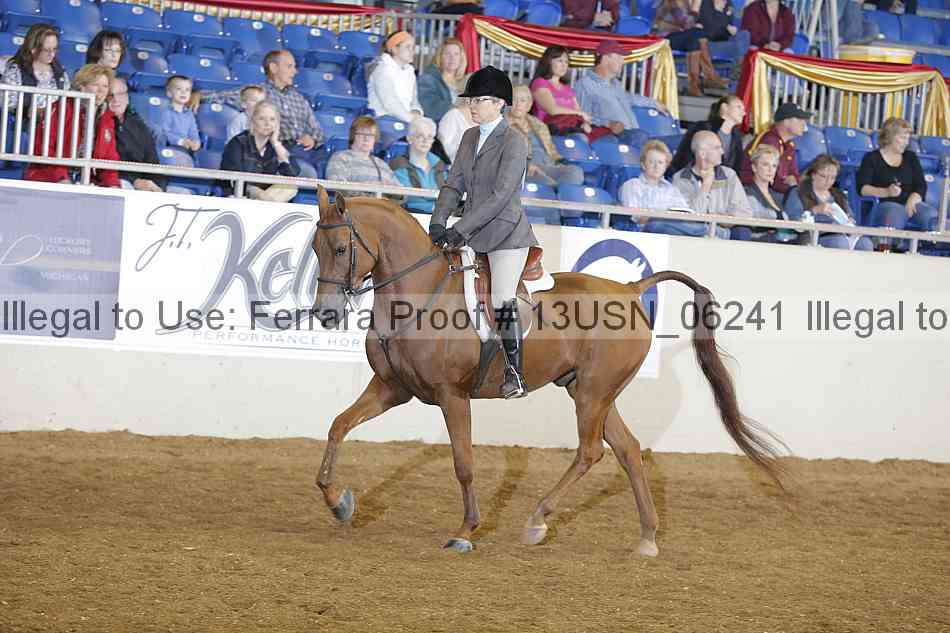 Proof 13usn_06241
