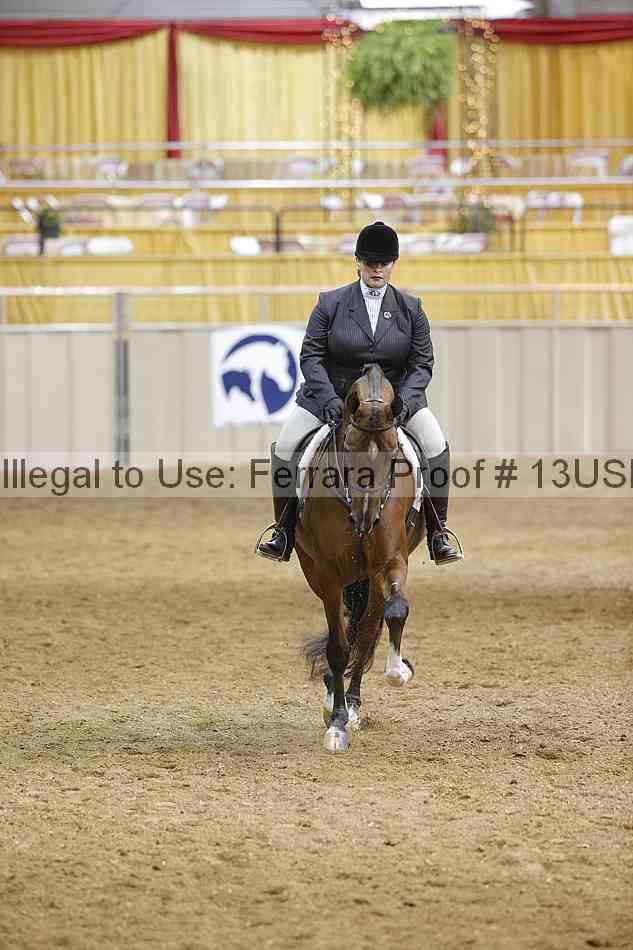 Proof 13usn_06243