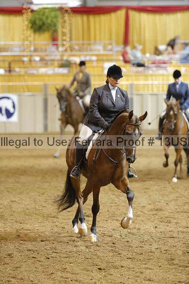 Proof 13usn_06244