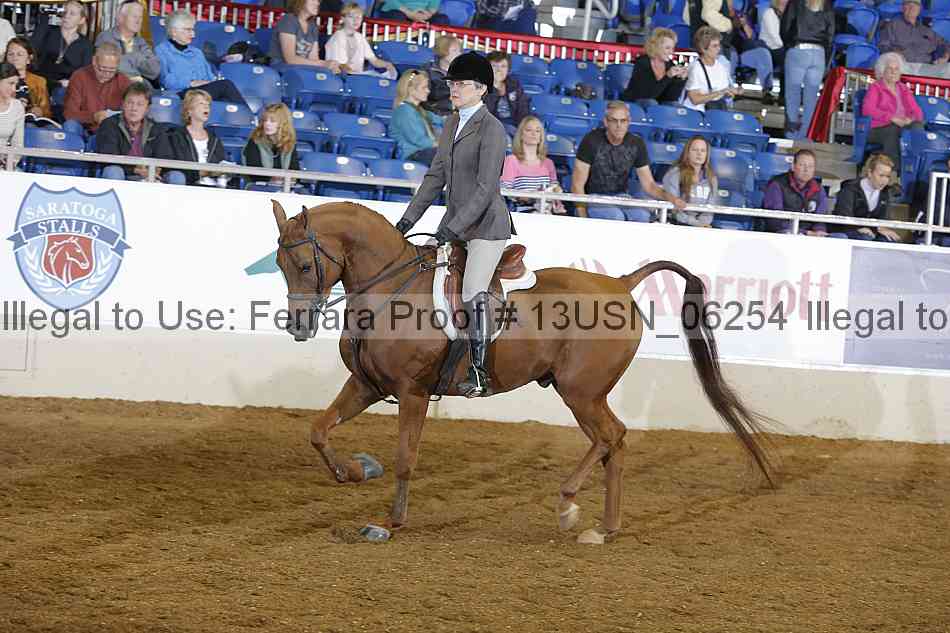 Proof 13usn_06254