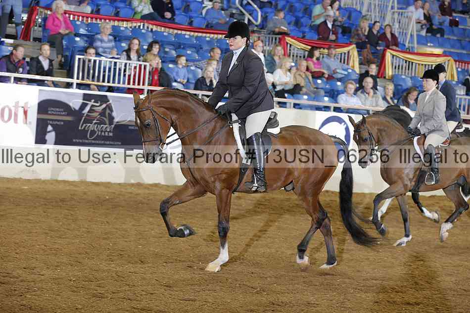 Proof 13usn_06256