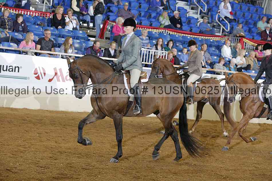 Proof 13usn_06257
