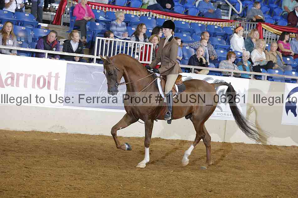 Proof 13usn_06261