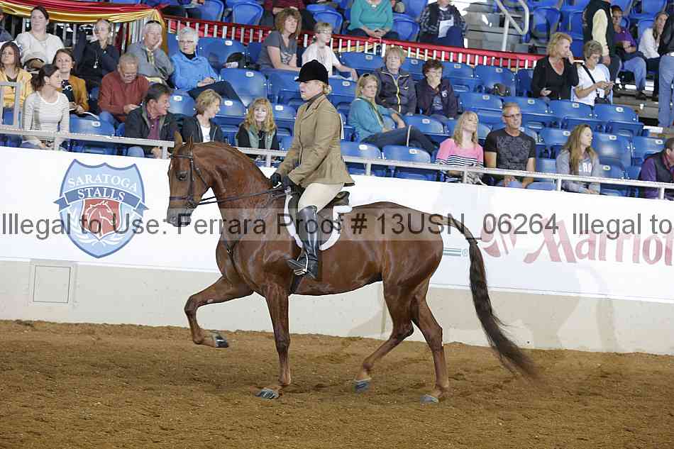 Proof 13usn_06264