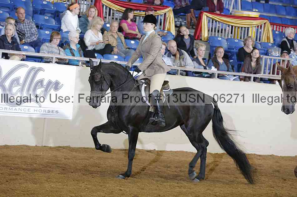 Proof 13usn_06271