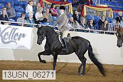 13usn_06271 proof