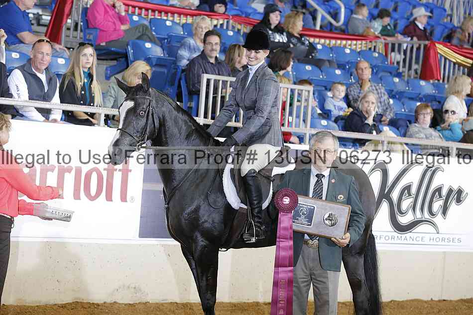 Proof 13usn_06273