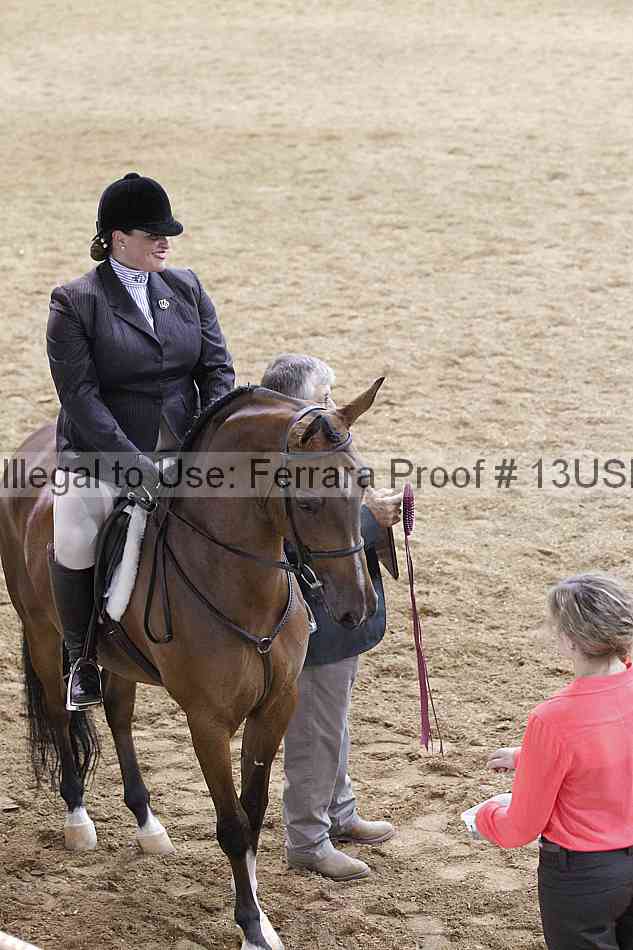 Proof 13usn_06292