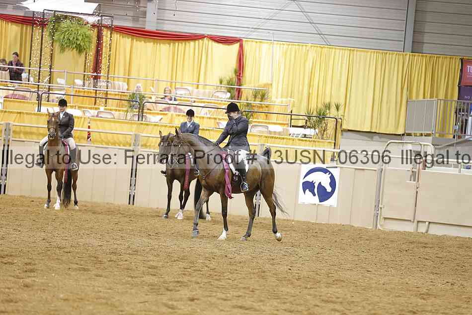 Proof 13usn_06306
