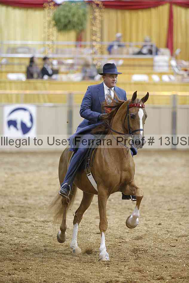 Proof 13usn_18396