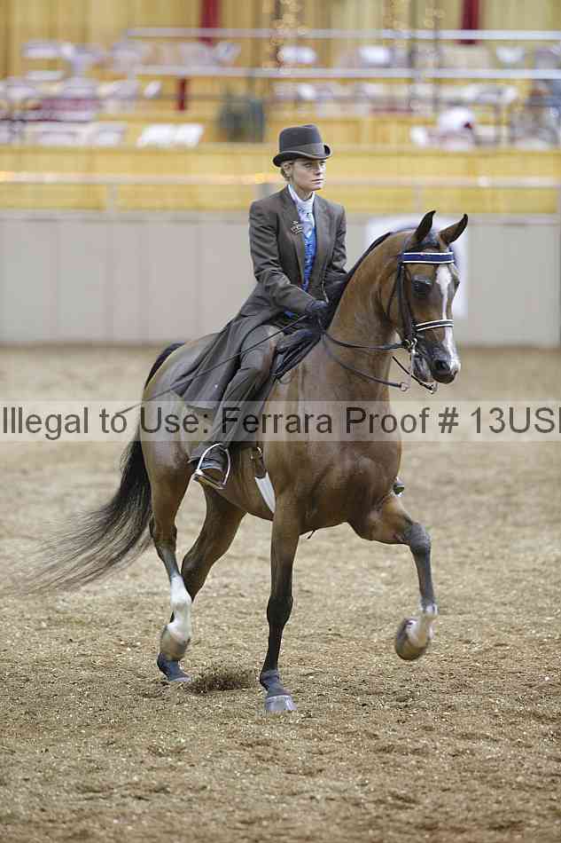Proof 13usn_18400