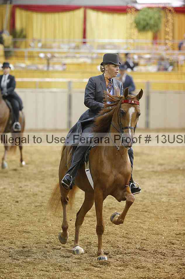 Proof 13usn_18418