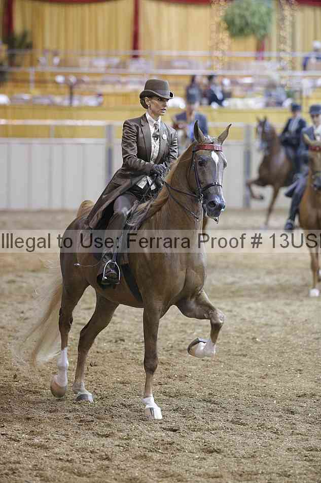 Proof 13usn_18428