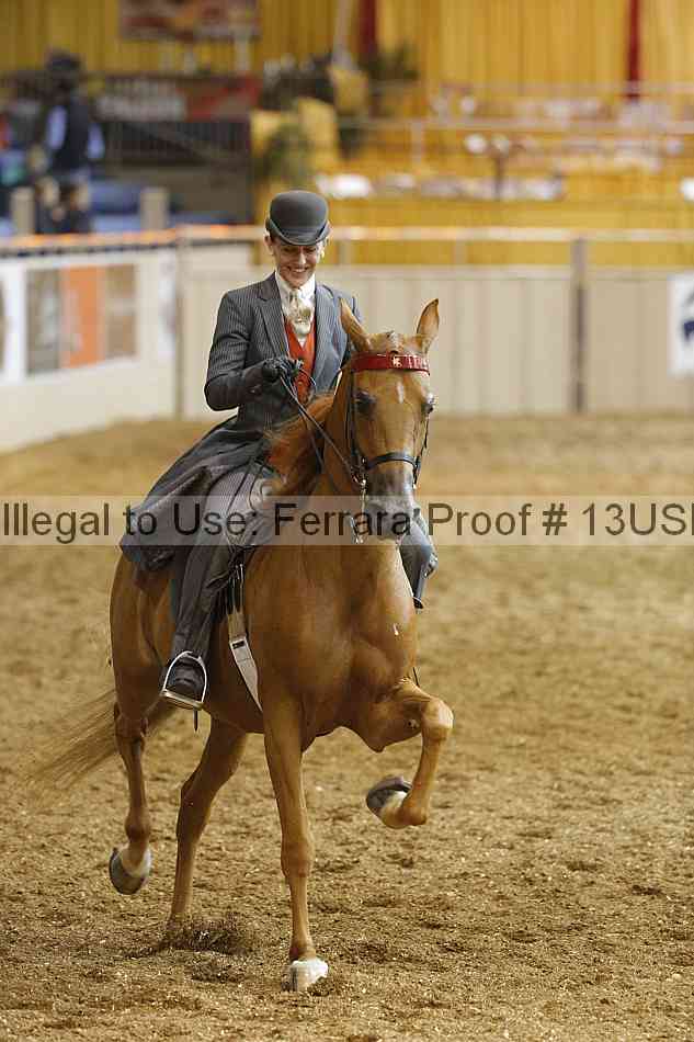 Proof 13usn_18480