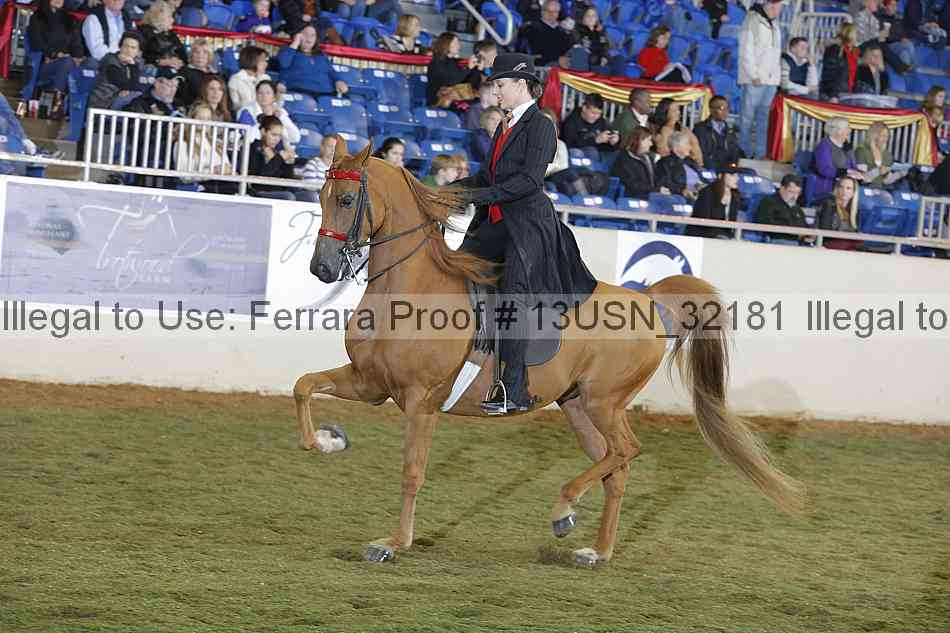 Proof 13usn_32181