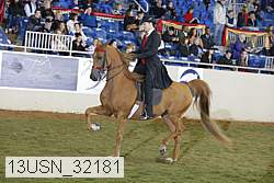 13usn_32181 proof