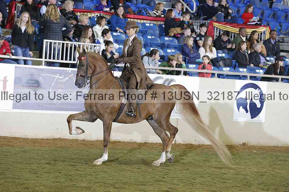 Proof 13usn_32187