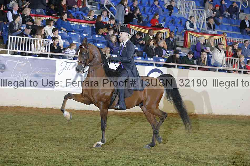 Proof 13usn_32190